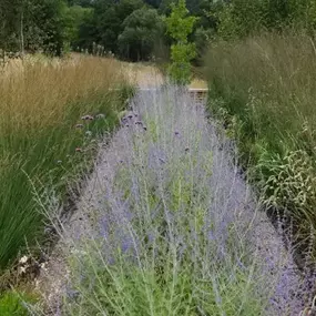 Bild von Amanda Patton Landscape & Garden Design