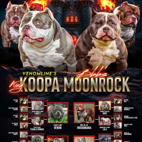 Bild von Venomline Pocket Bullies