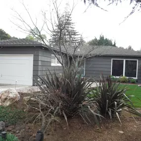 Earthquake Brace + Bolt Seismic Retrofit Millbrae