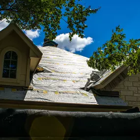 Bild von TTP Roofing