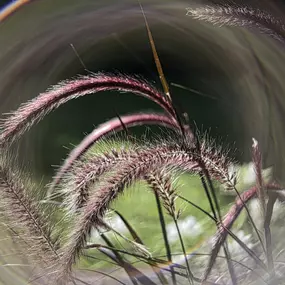 Bild von Spirituelle Hypnose Ausbildung