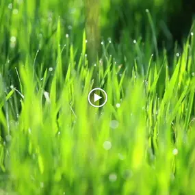 Bild von Pro Fence Co Inc