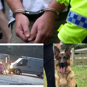 Bild von Sitex Orbis Ltd.