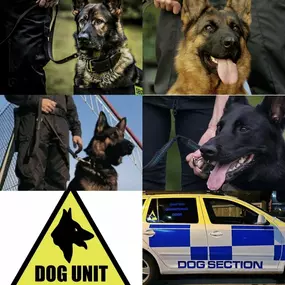 Bild von Sitex Orbis Ltd.