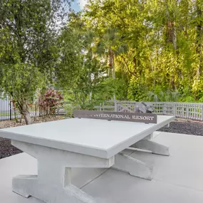 An outdoor Ping Pong Table at Parkway International Resort