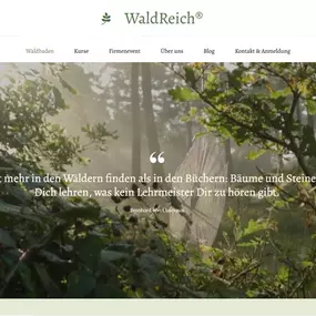 Webstudio Dresden Waldreich-sachsen.de bietet Waldbaden Kurse für Entspannung, Achtsamkeit und die Stärkung von Körper und Geist.