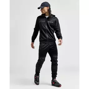 Bild von Music squirrels available