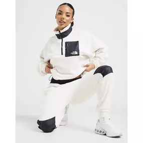 Bild von Music squirrels available