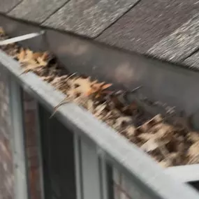 Bild von Rain Drain Gutter Solutions