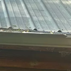 Bild von Rain Drain Gutter Solutions