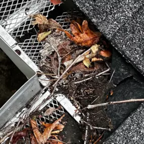 Bild von Rain Drain Gutter Solutions