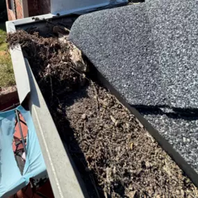 Bild von Rain Drain Gutter Solutions