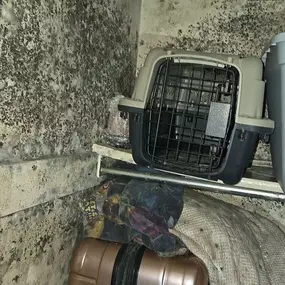 Bild von True North Restoration of Omaha South