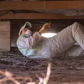 Bild von True North Restoration of Raleigh