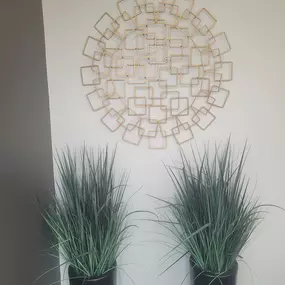 Bild von Evergreen Park Spine Injury Center