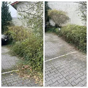 Bild von Candela Ihr Gebäudedienstleister
