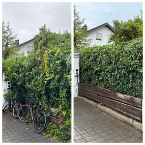 Bild von Candela Ihr Gebäudedienstleister