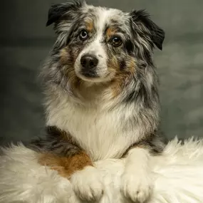 Bild von Sarah Genuit Fotografie