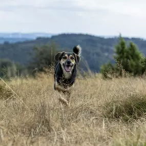 Bild von Sarah Genuit Fotografie