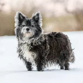 Bild von Sarah Genuit Fotografie
