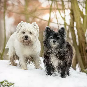 Bild von Sarah Genuit Fotografie