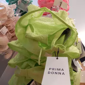 Bild von Hautnah Dessous Tag- und Nachtwäsche
