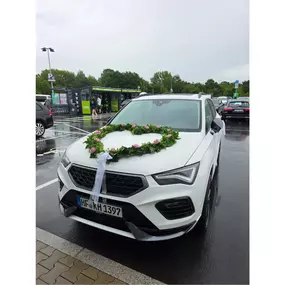 Bild von BLATTLAUS Floristik