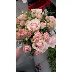 Bild von BLATTLAUS Floristik
