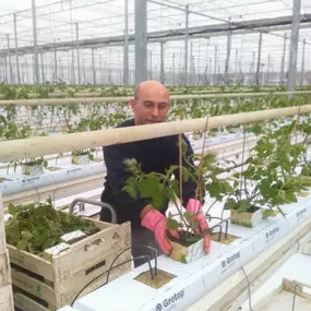 Bild von Agrotomato SA