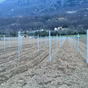 Bild von Agrotomato SA