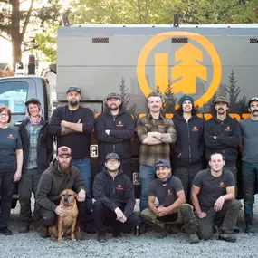 Bild von Urban Timber Tree Service
