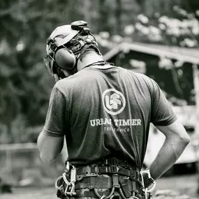 Bild von Portland Tree Service by Urban Timber