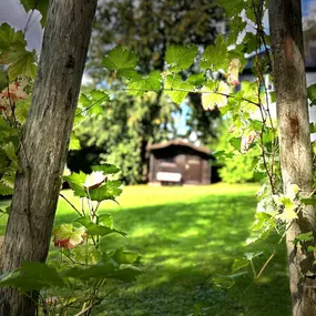 Bild von Kulturvilla Schnepfenthal – Seminarhaus & Kunstgalerie