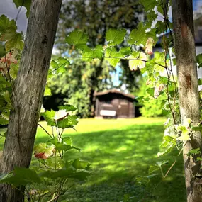 Bild von Kulturvilla Schnepfenthal – Seminarhaus & Kunstgalerie
