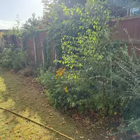 Bild von Liverpool Gardening Services Ltd