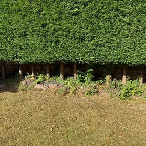 Bild von Liverpool Gardening Services Ltd