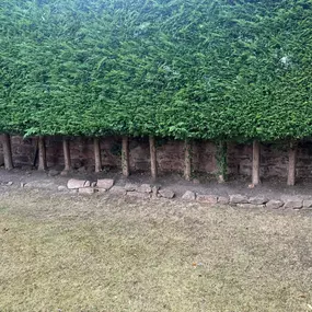 Bild von Liverpool Gardening Services Ltd