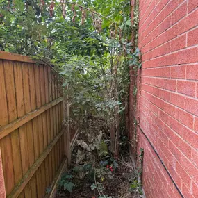 Bild von Liverpool Gardening Services Ltd