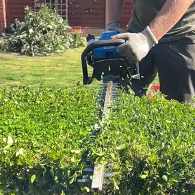 Bild von Liverpool Gardening Services Ltd