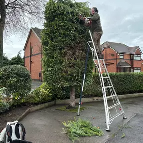 Bild von Liverpool Gardening Services Ltd