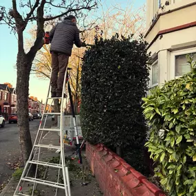 Bild von Liverpool Gardening Services Ltd