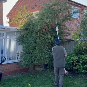 Bild von Liverpool Gardening Services Ltd