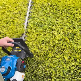 Bild von Liverpool Gardening Services Ltd