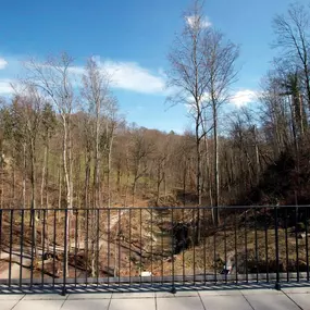 Bild von Privatschule Logartis