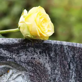 Bild von Naturstein Butler GmbH & Co. KG