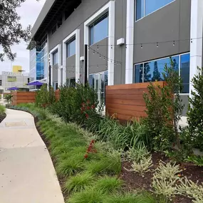 A modern office building's exterior with dark gray walls and large windows. The path is lined with a variety of green plants, wooden planter boxes, and string lights, creating a welcoming and landscaped walkway.