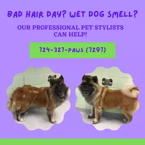Bild von Walkers Pet HoTail Pet Care Center