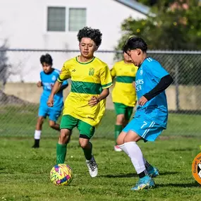 Bild von All Day Sportwear - Custom Jerseys and Soccer Uniforms