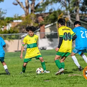 Bild von All Day Sportwear - Custom Jerseys and Soccer Uniforms