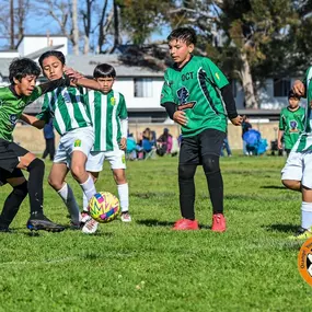 Bild von All Day Sportwear - Custom Jerseys and Soccer Uniforms